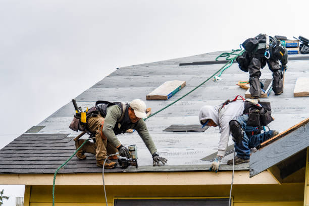 Professional Storm Damage Roof Repair technician working in Freeport, IL